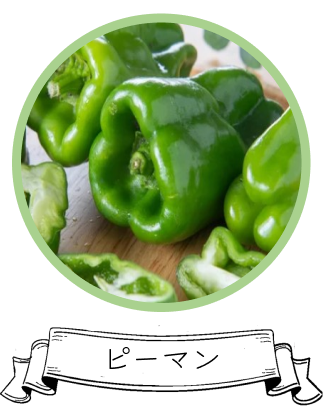 ピーマン