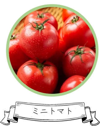 ミニトマト